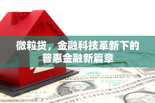 绥滨微粒贷，金融科技革新下的普惠金融新篇章