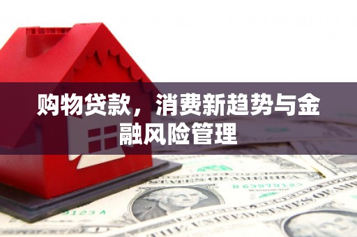 绥滨购物贷款，消费新趋势与金融风险管理