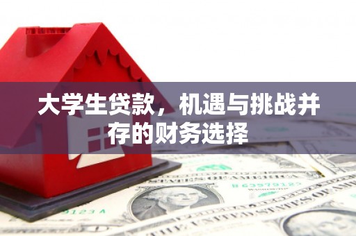 绥滨大学生贷款，机遇与挑战并存的财务选择