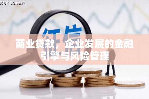 绥滨商业贷款，企业发展的金融引擎与风险管理