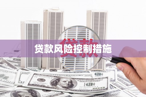 绥滨贷款风险控制措施