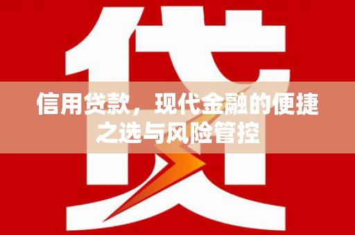 绥滨信用贷款，现代金融的便捷之选与风险管控