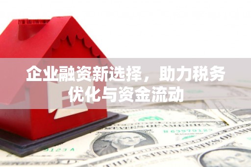 绥滨企业融资新选择，助力税务优化与资金流动