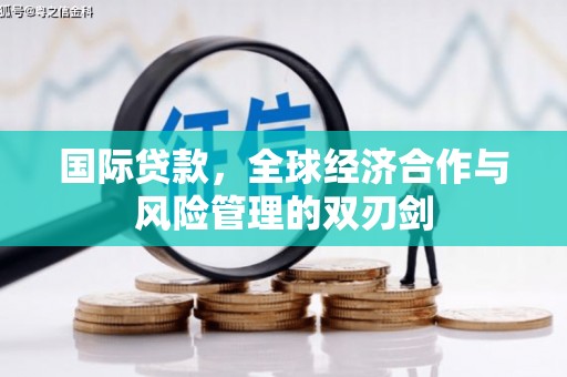 绥滨国际贷款，全球经济合作与风险管理的双刃剑