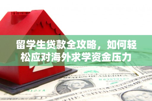 绥滨留学生贷款全攻略，如何轻松应对海外求学资金压力