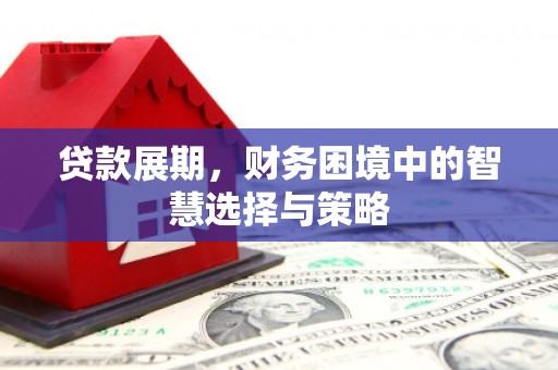 绥滨贷款展期，财务困境中的智慧选择与策略