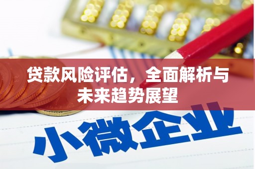 绥滨贷款风险评估，全面解析与未来趋势展望