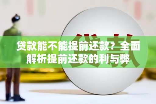 绥滨贷款能不能提前还款？全面解析提前还款的利与弊