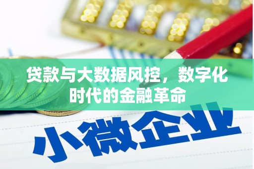 绥滨贷款与大数据风控，数字化时代的金融革命