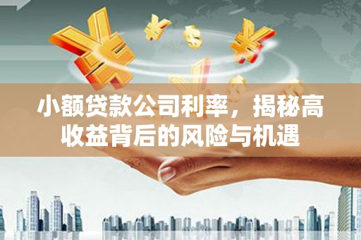 绥滨小额贷款公司利率，揭秘高收益背后的风险与机遇