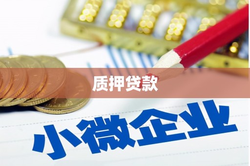 绥滨质押贷款