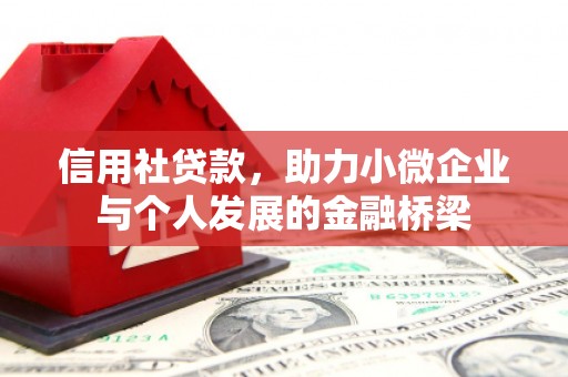 绥滨信用社贷款，助力小微企业与个人发展的金融桥梁