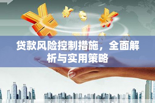 绥滨贷款风险控制措施，全面解析与实用策略