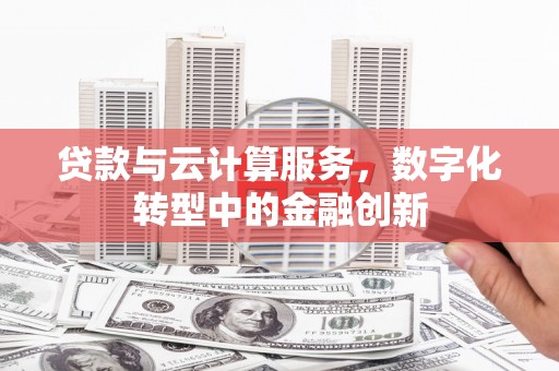 绥滨贷款与云计算服务，数字化转型中的金融创新