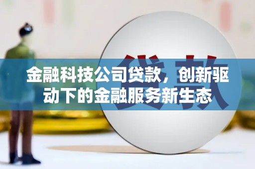 绥滨金融科技公司贷款，创新驱动下的金融服务新生态