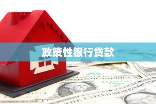 绥滨政策性银行贷款