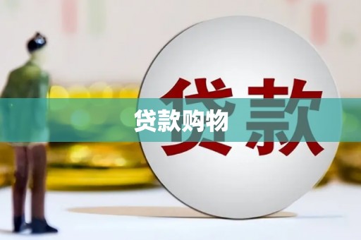 绥滨贷款购物
