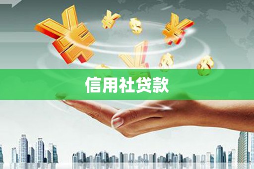 绥滨信用社贷款