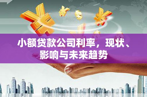 绥滨小额贷款公司利率，现状、影响与未来趋势