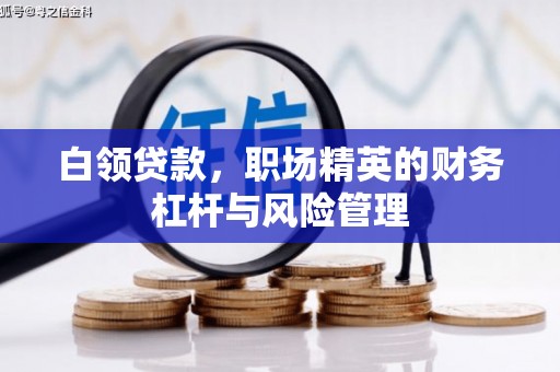绥滨白领贷款，职场精英的财务杠杆与风险管理