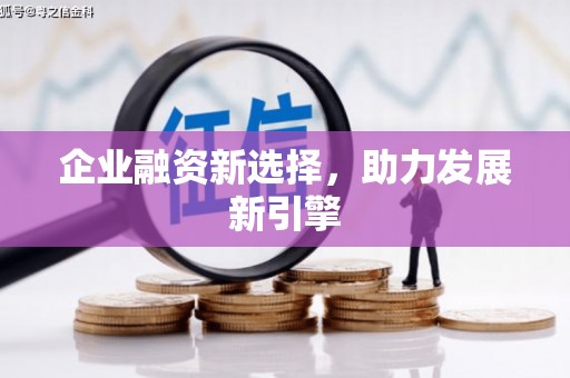 绥滨企业融资新选择，助力发展新引擎