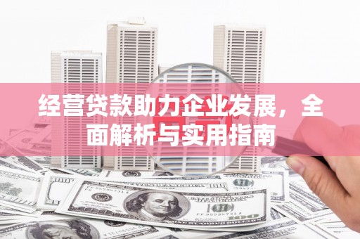 绥滨经营贷款助力企业发展，全面解析与实用指南