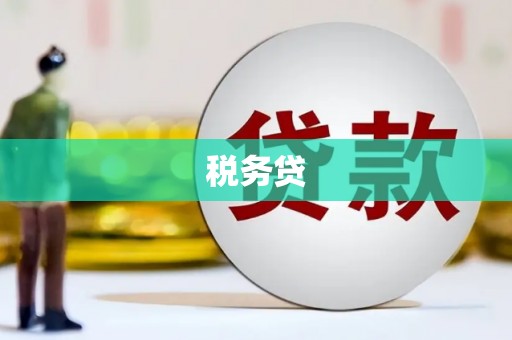 绥滨税务贷