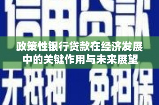 绥滨政策性银行贷款在经济发展中的关键作用与未来展望