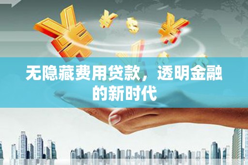 绥滨无隐藏费用贷款，透明金融的新时代