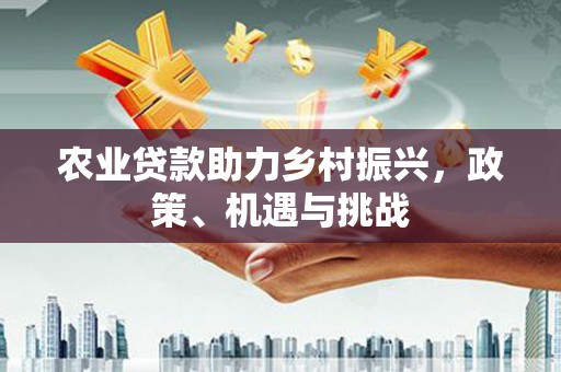 绥滨农业贷款助力乡村振兴，政策、机遇与挑战