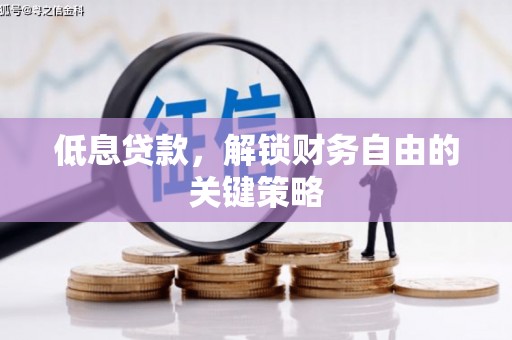 绥滨低息贷款，解锁财务自由的关键策略