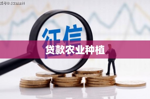 绥滨贷款农业种植