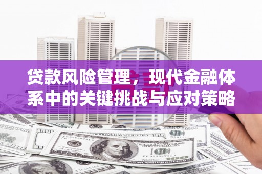 绥滨贷款风险管理，现代金融体系中的关键挑战与应对策略