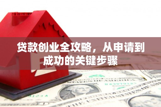 绥滨贷款创业全攻略，从申请到成功的关键步骤