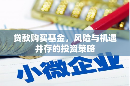 绥滨贷款购买基金，风险与机遇并存的投资策略