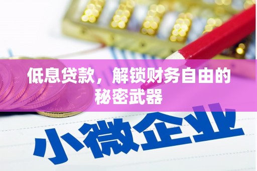绥滨低息贷款，解锁财务自由的秘密武器