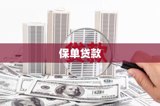 绥滨保单贷款