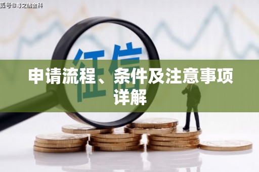 绥滨申请流程、条件及注意事项详解