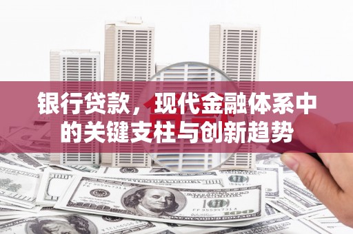 绥滨银行贷款，现代金融体系中的关键支柱与创新趋势