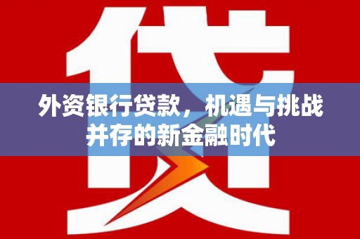 绥滨外资银行贷款，机遇与挑战并存的新金融时代