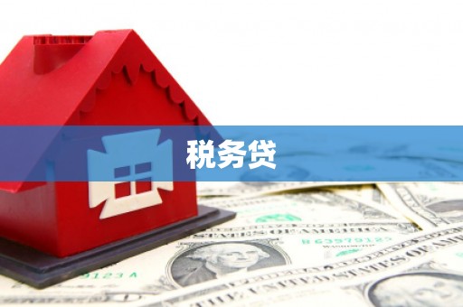 绥滨税务贷