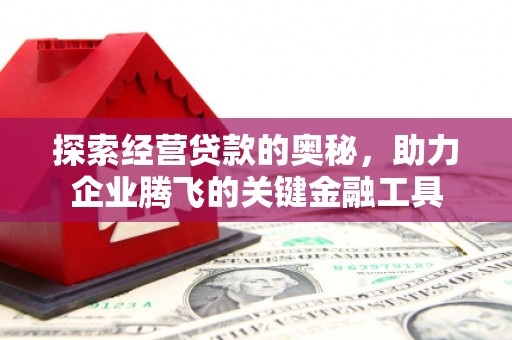 绥滨探索经营贷款的奥秘，助力企业腾飞的关键金融工具
