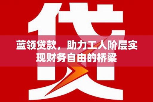 绥滨蓝领贷款，助力工人阶层实现财务自由的桥梁