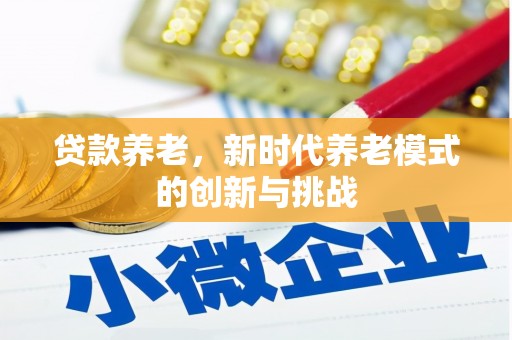 绥滨贷款养老，新时代养老模式的创新与挑战