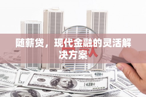 绥滨随薪贷，现代金融的灵活解决方案