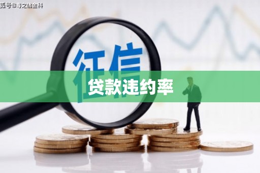 绥滨贷款违约率