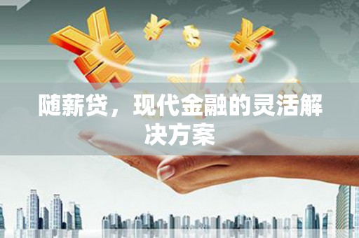 绥滨随薪贷，现代金融的灵活解决方案