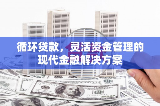 绥滨循环贷款，灵活资金管理的现代金融解决方案