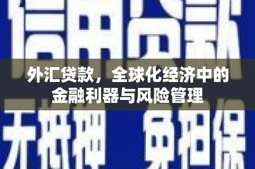 绥滨外汇贷款，全球化经济中的金融利器与风险管理