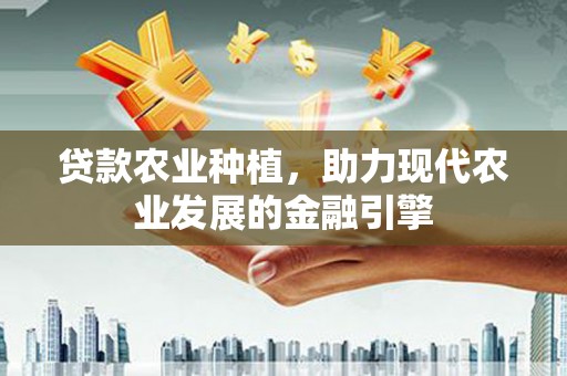 绥滨贷款农业种植，助力现代农业发展的金融引擎